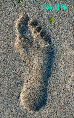 ગુરુંચરણ 881