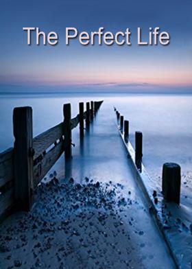 The Perfect Life