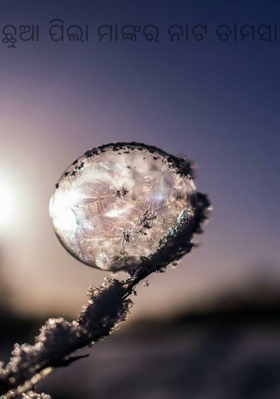 ଛୁଆ ପିଲା ମାଙ୍କର ନାଟ ତାମସା