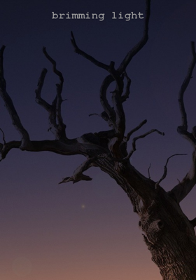 Brimming Light