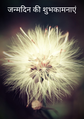 जन्मदिन की शुभकामनाएं