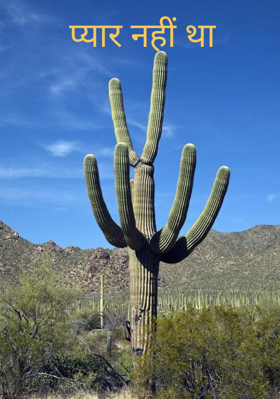 प्यार नहीं था