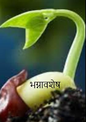 भग्नावशेष