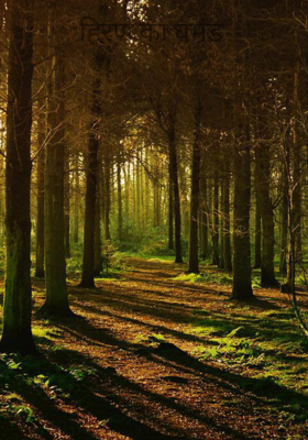 हिरण का घमंड