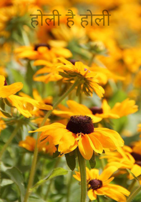 होली है होली