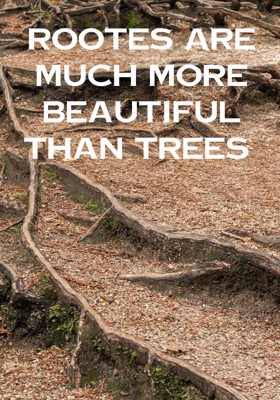 Rootes Are Much More Beautiful Than Trees 