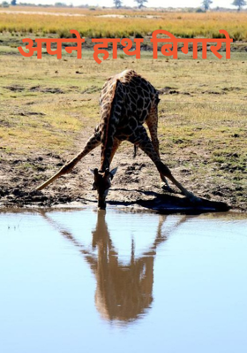 अपने हाथ बिगारो