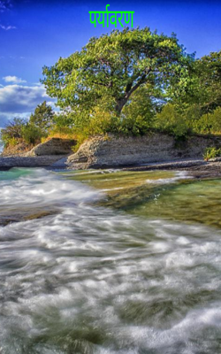 पर्यावरण