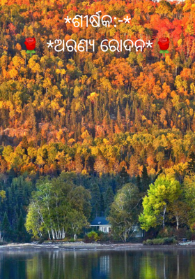 ଅରଣ୍ୟ ରୋଦନ