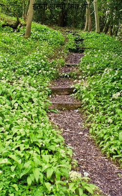 इतनी जल्दी क्या थी