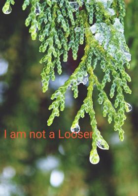 I am not a Loser