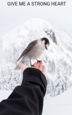 GIVE ME A STRONG HEART 
