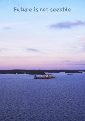 Future is not seeable