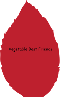 Vegetable Best Friends