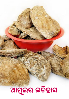 ଆମ୍ବୁଲର ଇତିହାସ