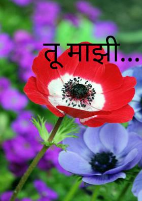 तू माझी...