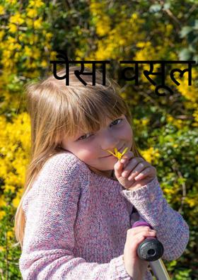 पैसा वसूल