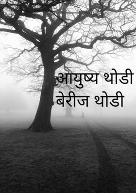 आयुष्य थोडी बेरीज थोडी वजाबाकी