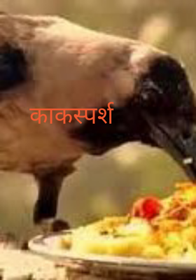 काकस्पर्श