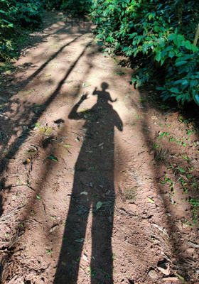 मेरी परछाई