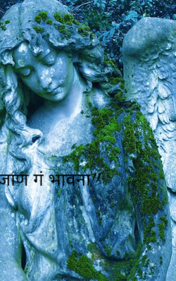 जाण गं भावना!!