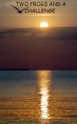 Two Frogs And A Challenge