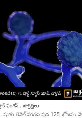 కరోనా వెతలు