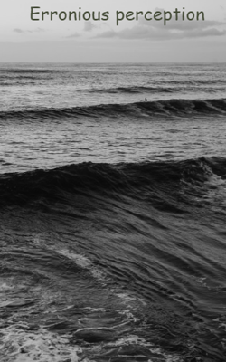 Erroneous perception