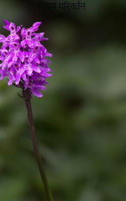 विषय परिवर्तन