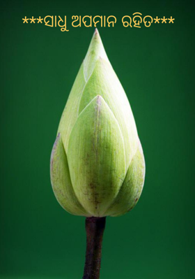 ସାଧୁ ଅପମାନ ରହିତ