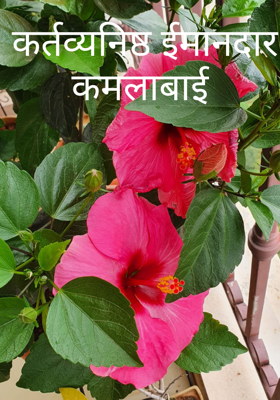 कर्तव्यनिष्ठ ईमानदार कमलाबाई