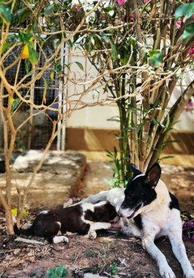 Waiting outside your gate