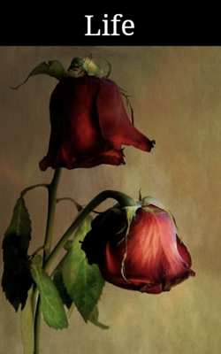 Life