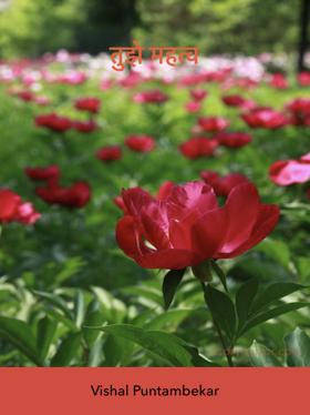 तुझे महत्व