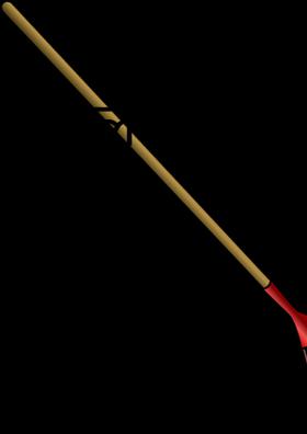 दिल्ली चुनाव