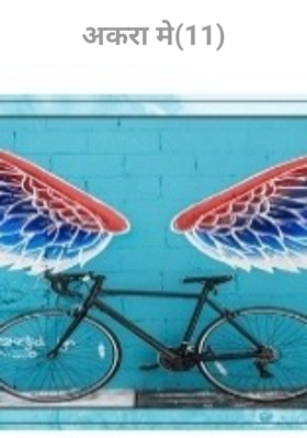 अकरा मे(11)