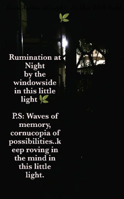 Rumination At Night...In This Little Light
