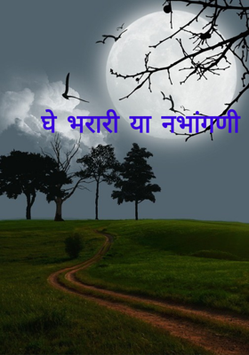 घे भरारी या नभांगणी