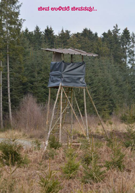 ಜೀವ ಉಳಿದರೆ ಜೀವನವು!..