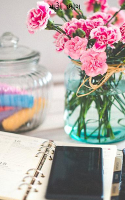 મારો ભાગ