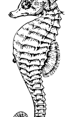 वादों की पोटली