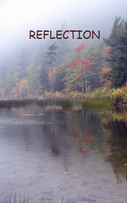 REFLECTION