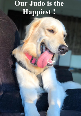 Our Judo Is The Happiest !