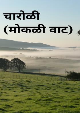चारोळी(मोकळी वाट)