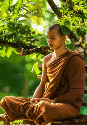 యోగులు -భోగులు