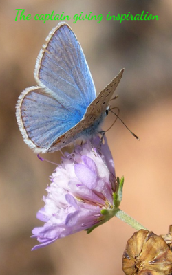 The Captain Giving Inspiration