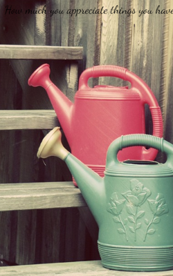 How much you appreciate things you have