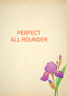 Perfect All Rounder