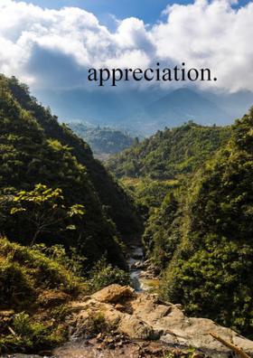 Appreciation