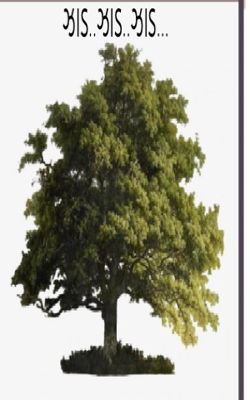 ઝાડ ઝાડ ઝાડ